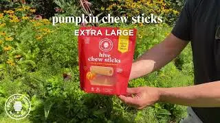 Pumpkin Hive Chew Stick Treats - vegetarian dental dog treats in XL size for larger dogs