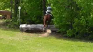 Bo's First Show--Cross Country-1/1
