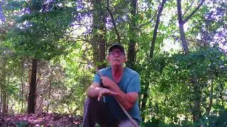 Summer deer scouting strategies and tips