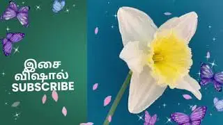 வர்மாவை அடித்து பவரை காட்டிய அயலி/ அயலி 4 பிப்ரவரி 2026