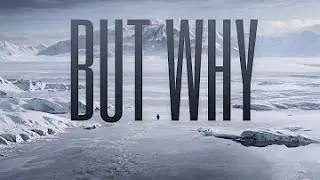 Nihilist penguin (Werner Herzog)