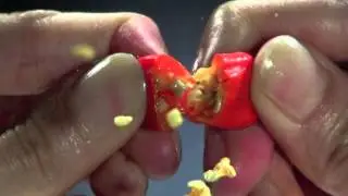 TVC Sambal Indofood - Karena Kenapa 30s