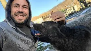 РАЗХОДКА С ЕДНО СПЕЦИАЛНО КУЧЕ - АЛЕКСАНДЪР СЕНЬОР МИТОВ а.С.м 