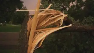 Damage To Trees, Houses, And Vehicles In Winkler
