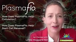 Why Plasmaflo & Microcirculation are important for Stem Cells