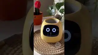 DIY Smart Interactive Plant Pot. AI Plant Care with Auto Watering and Sensors. Tamil Gadgets Zone