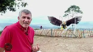 Mirador del Aguila Tesalia Huila