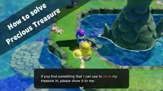 Precious Treasure Side Quest &mdash; TLoZ: Echoes of Wisdom