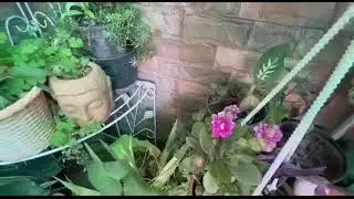 Grow organically