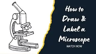How to Draw and Label a Microscope | Step-by-Step Pencil Sketch Tutorial