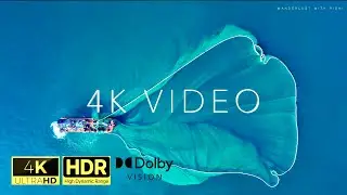 Crystal Clear &mdash; 4K HDR Dolby Vision Masterpiece (4K TV)