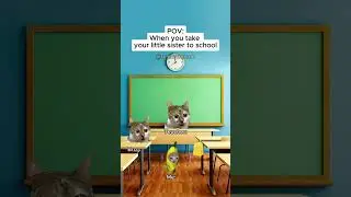 CAT MEMES 🐱 when you take your little sister to school #shorts #catmemes #relatable