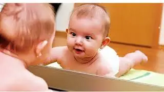22. Person Perception and Interpersonal Attraction