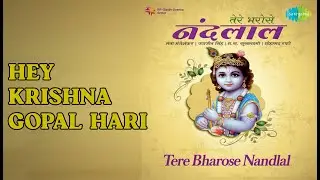 Hey Krishna Gopal Hari | Mere Maan Ke Andh Tamas Mein Jagjit Singh | Jagjit Singh Songs | nan
