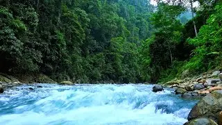 Mountain Serenity: A Relaxing Journey Along a Turquoise River (10 hours)