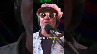 ХОРОШИЙ ЗАКЛЮЧИТЕЛЬ