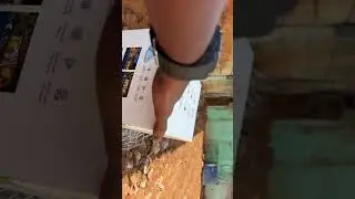 Trueview 4G Linkage solar Mini pan-tilt camera #trueview #cctvinstallation in Padappai #padappai