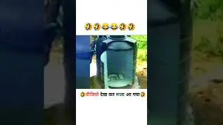 Some Funny People Deeds | Amazing Facts | Interesting Facts