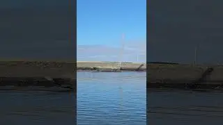 Harlingen's lifelike sperm whale fountain