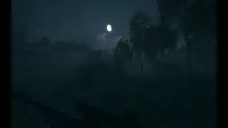 The Hunter Call of the Wild - Night Excursion - Very Realistic Animal Behavior