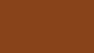 Brown Color Screen 1 Hour 1080P Full HD