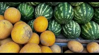 Песня о гильотине