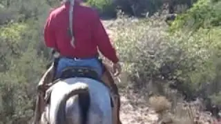 MVI_1194.MOV