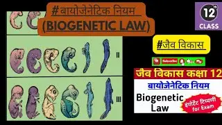 बायोजेनेटिक नियम || Biogenetic law in hindi || jaiv vikas class 12th biology || evolution 🧬 ||