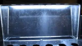 EV14-1000-T1 spray