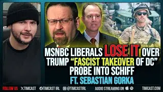 MSNBC Liberals LOSE IT Over Trump &ldquo;Fascist Takeover Of DC&rdquo;, Probe Into Schiff ft. Sebastian Gorka
