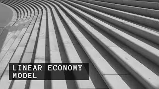 Linear Economy Model