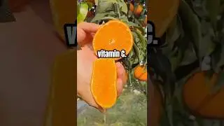 Boost Your Immunity Naturally With This Fruit #fruits #immunity #health #orange #shorts #viral
