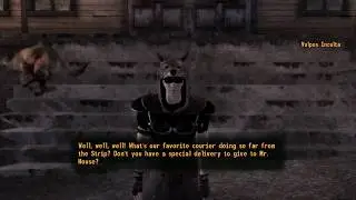 Fallout: New Vegas - Vulpes Inculta With Positive Reputation (Legionaire Courier)