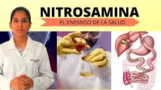 No Comas Embutidos Sin Antes Saber De La Nitrosamina / BIENESTAR Y SALUD CON PRISCILA
