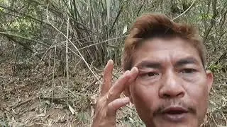 Let's go and prove the legends about the man-eating forest and the man-eating mountain that the v...