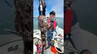 For My Dad&rsquo;s Birthday: I Travelled 14hrs to Catch & Cook Him Live Seafood