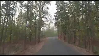 #iskon #mayapur #river #travel salboni jungle