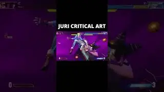 JURI CRITICAL ART - SF6