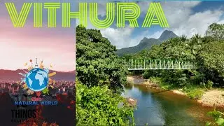 VITHURA|THIRUVANANTHAPURAM|KERALA|Ciao N A T U R A L WORLD|By Vinod Lukose Vettukallel