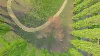 Fast flight Cinelog 25 // Dji o3