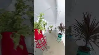 BIONIC FESTIVAL 2024 GARDEN HONEVO DESIGN #bionicfestival #garden #honevodesign #casabanchel #shorts