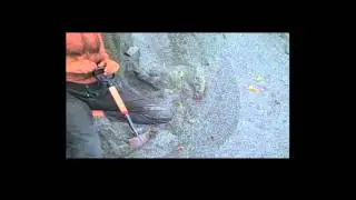 TEDxBOULDER - Joshua Onysko - Biomimicry: Our Question Natures Answer
