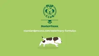 PupClub By Standard Process Vet Formulas