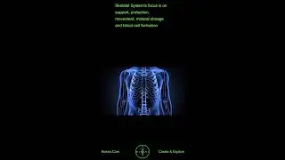 Learn about building blocks of the Human Body, Human Anatomy and Human Body Systems - Portrait Mode