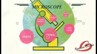 Microscope #botany #calcuttauniversity  #Practicallab #fortunecookie