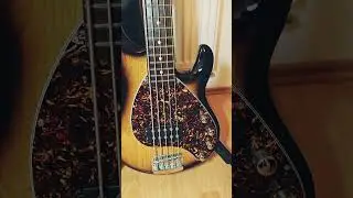 USA MusicMan Stingray 5HH/ 5H Special #bass #musicman #ernieballmusicman