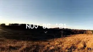 Almost American - 'Mentality' | Freespirited