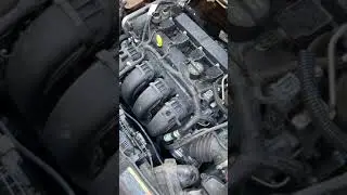 2012 Ford Focus engine sound