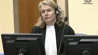 Highlights of the Appeal Judgement in the case of Radovan Karadžić