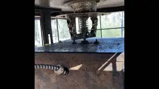 DIY Corral Double guillotine door Hog Trap (With Door Dimensions)